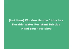 [Hot Item] Wooden Handle 14 Inches Durable Water Resistant Bristles Hand Brush for Shoe