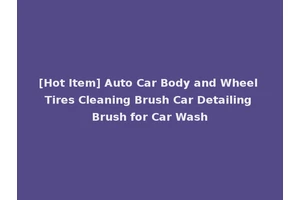 [Hot Item] Auto Car Body and Wheel Tires Cleaning Brush Car Detailing Brush for Car Wash