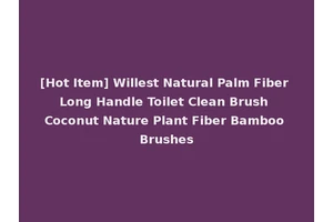 [Hot Item] Willest Natural Palm Fiber Long Handle Toilet Clean Brush Coconut Nature Plant Fiber Bamboo Brushes