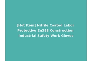 [Hot Item] Nitrile Coated Labor Protective En388 Construction Industrial Safety Work Gloves