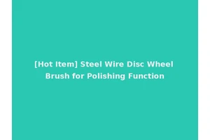 [Hot Item] Steel Wire Disc Wheel Brush for Polishing Function
