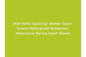 [Hot Item] Fgv017gr Winter Touch Screen Waterproof Windproof Motorcycle Racing Sport Gloves