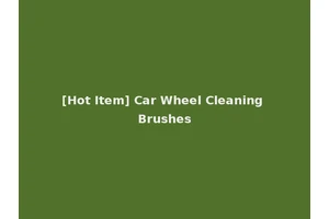 [Hot Item] Car Wheel Cleaning Brushes