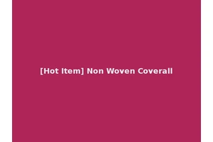 [Hot Item] Non Woven Coverall
