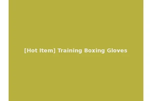 [Hot Item] Training Boxing Gloves