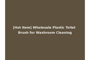 [Hot Item] Wholesale Plastic Toilet Brush for Washroom Cleaning