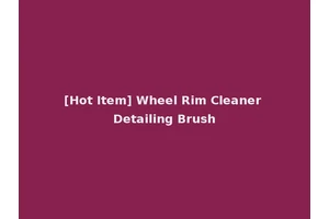 [Hot Item] Wheel Rim Cleaner Detailing Brush