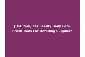 [Hot Item] Car Beauty Daily Care Brush Tools Car Detailing Suppliers