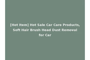 [Hot Item] Hot Sale Car Care Products, Soft Hair Brush Head Dust Removal for Car