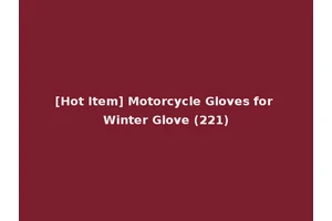 [Hot Item] Motorcycle Gloves for Winter Glove (221)