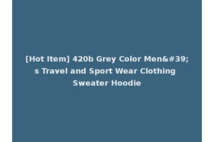 [Hot Item] 420b Grey Color Men's Travel and Sport Wear Clothing Sweater Hoodie