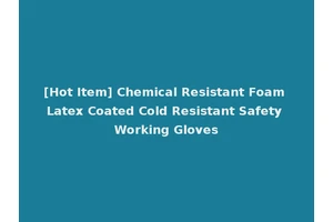[Hot Item] Chemical Resistant Foam Latex Coated Cold Resistant Safety Working Gloves