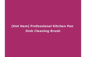 [Hot Item] Professional Kitchen Pan Dish Cleaning Brush