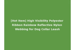 [Hot Item] High Visibility Polyester Ribbon Rainbow Reflective Nylon Webbing for Dog Collar Leash