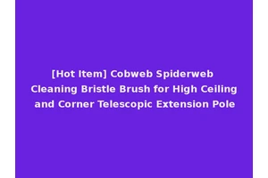 [Hot Item] Cobweb Spiderweb Cleaning Bristle Brush for High Ceiling and Corner Telescopic Extension Pole