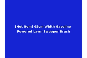 [Hot Item] 65cm Width Gasoline Powered Lawn Sweeper Brush