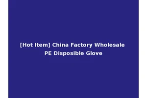 [Hot Item] China Factory Wholesale PE Disposible Glove