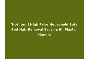 [Hot Item] High Price Household Sofa Bed Hair Removal Brush with Plastic Handle