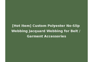 [Hot Item] Custom Polyester No-Slip Webbing Jacquard Webbing for Belt / Garment Accessories