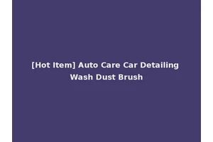 [Hot Item] Auto Care Car Detailing Wash Dust Brush