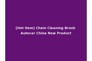 [Hot Item] Chain Cleaning Brush Autocar China New Product
