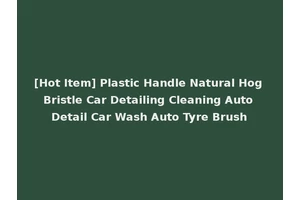 [Hot Item] Plastic Handle Natural Hog Bristle Car Detailing Cleaning Auto Detail Car Wash Auto Tyre Brush