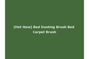 [Hot Item] Bed Dusting Brush Bed Carpet Brush