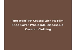 [Hot Item] PP Coated with PE Film Shoe Cover Wholesale Disposable Coverall Clothing