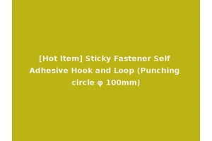 [Hot Item] Sticky Fastener Self Adhesive Hook and Loop (Punching circle φ 100mm)