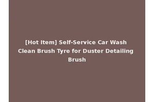 [Hot Item] Self-Service Car Wash Clean Brush Tyre for Duster Detailing Brush