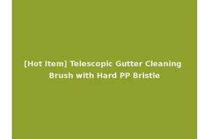 [Hot Item] Telescopic Gutter Cleaning Brush with Hard PP Bristle