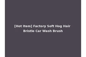[Hot Item] Factory Soft Hog Hair Bristle Car Wash Brush