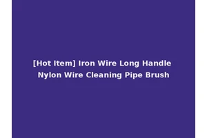 [Hot Item] Iron Wire Long Handle Nylon Wire Cleaning Pipe Brush