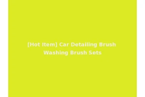 [Hot Item] Car Detailing Brush Washing Brush Sets