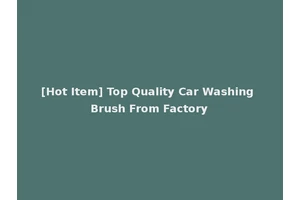 [Hot Item] Top Quality Car Washing Brush From Factory