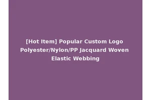 [Hot Item] Popular Custom Logo Polyester/Nylon/PP Jacquard Woven Elastic Webbing
