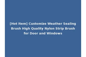 [Hot Item] Customize Weather Sealing Brush High Quality Nylon Strip Brush for Door and Windows