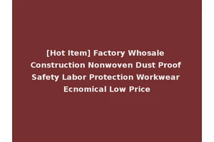 [Hot Item] Factory Whosale Construction Nonwoven Dust Proof Safety Labor Protection Workwear Ecnomical Low Price