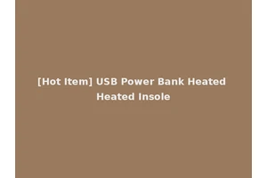 [Hot Item] USB Power Bank Heated Heated Insole