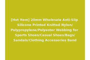 [Hot Item] 20mm Wholesale Anti-Slip Silicone Printed Knitted Nylon/Polypropylene/Polyester Webbing for Sports Shoes/Casual Shoes/Bags/Sandals/Clothing Accessories Band