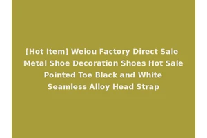 [Hot Item] Weiou Factory Direct Sale Metal Shoe Decoration Shoes Hot Sale Pointed Toe Black and White Seamless Alloy Head Strap