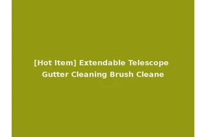 [Hot Item] Extendable Telescope Gutter Cleaning Brush Cleane