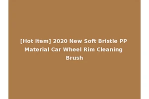 [Hot Item] 2020 New Soft Bristle PP Material Car Wheel Rim Cleaning Brush