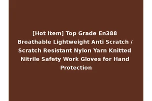 [Hot Item] Top Grade En388 Breathable Lightweight Anti Scratch / Scratch Resistant Nylon Yarn Knitted Nitrile Safety Work Gloves for Hand Protection