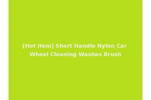 [Hot Item] Short Handle Nylon Car Wheel Cleaning Washes Brush