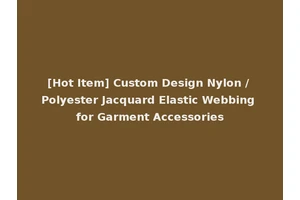 [Hot Item] Custom Design Nylon / Polyester Jacquard Elastic Webbing for Garment Accessories