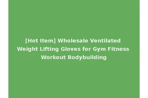 [Hot Item] Wholesale Ventilated Weight Lifting Gloves for Gym Fitness Workout Bodybuilding