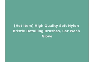 [Hot Item] High Quality Soft Nylon Bristle Detailing Brushes, Car Wash Glove