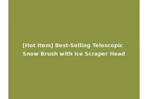[Hot Item] Best-Selling Telescopic Snow Brush with Ice Scraper Head