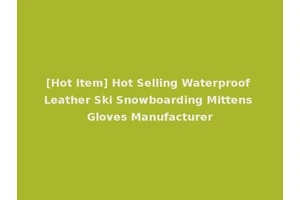 [Hot Item] Hot Selling Waterproof Leather Ski Snowboarding Mittens Gloves Manufacturer